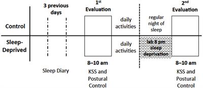 Saccadic Eye Movements Attenuate Postural Sway but Less in Sleep-Deprived Young Adults